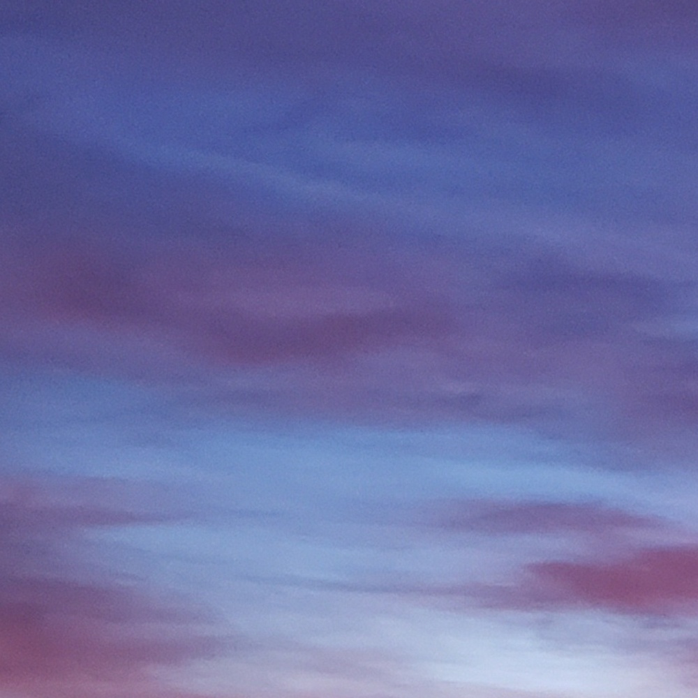 Meet your Posher, Mona